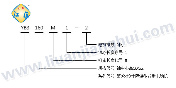 YB3高效隔爆型三相異步電動機(jī)_型號意義說明_六安江淮電機(jī)有限公司