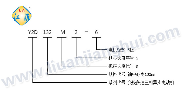 Y2D系列變極多速三相異步電動機(jī)_型號意義說明_六安江淮電機(jī)有限公司